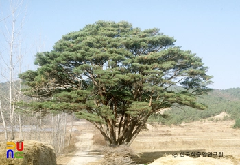 구미 독동리 반송