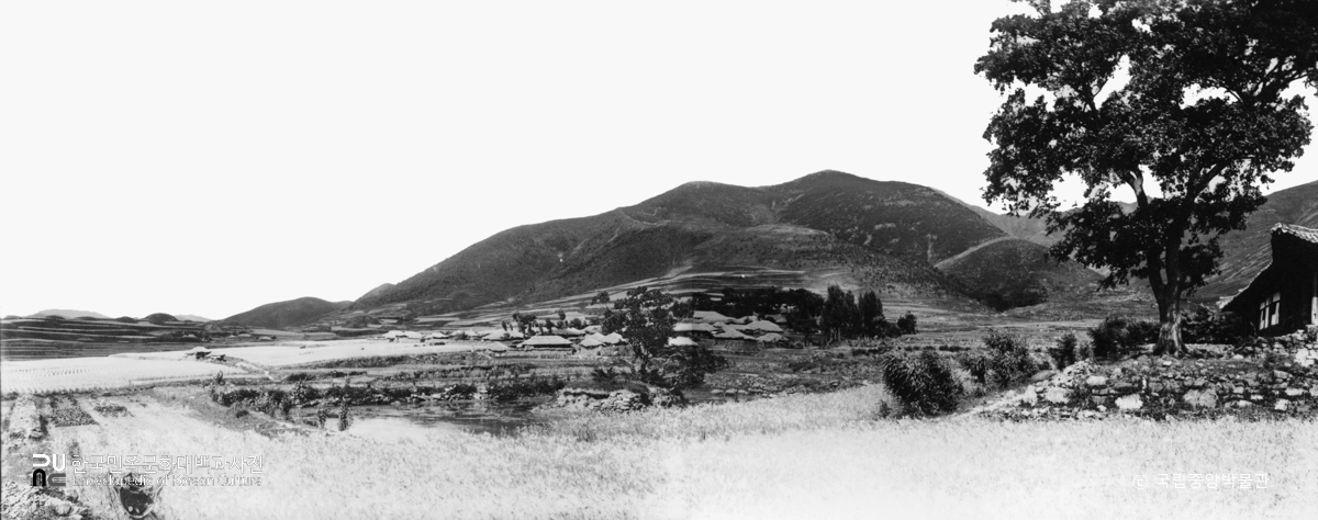 창녕 교동과 송현동 고분군 중 교동 고분군 전경(파노라마)