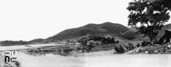 창녕 교동과 송현동 고분군 중 교동 고분군 전경(파노라마)