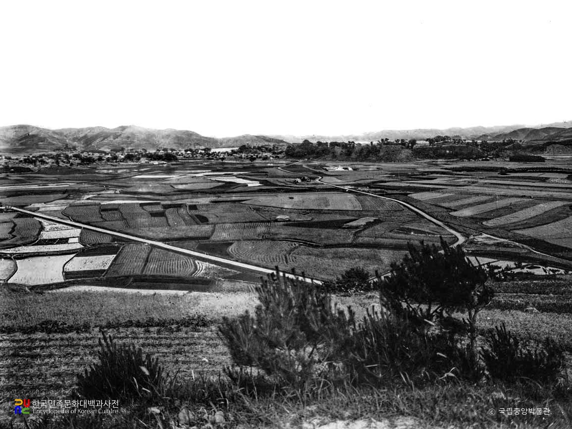 진주 진주성 북쪽 고분에서 본 진주성