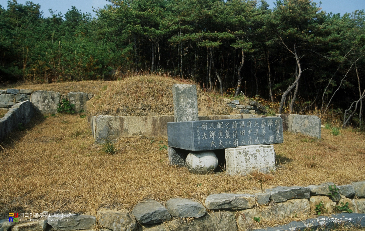 부여 전득우 묘 정측면