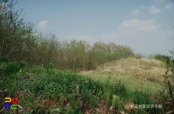 논산 황화산성 전경
