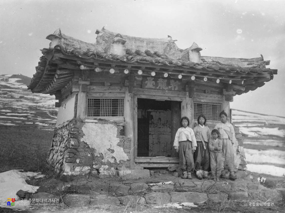 나선 적지 사룡대 정측면