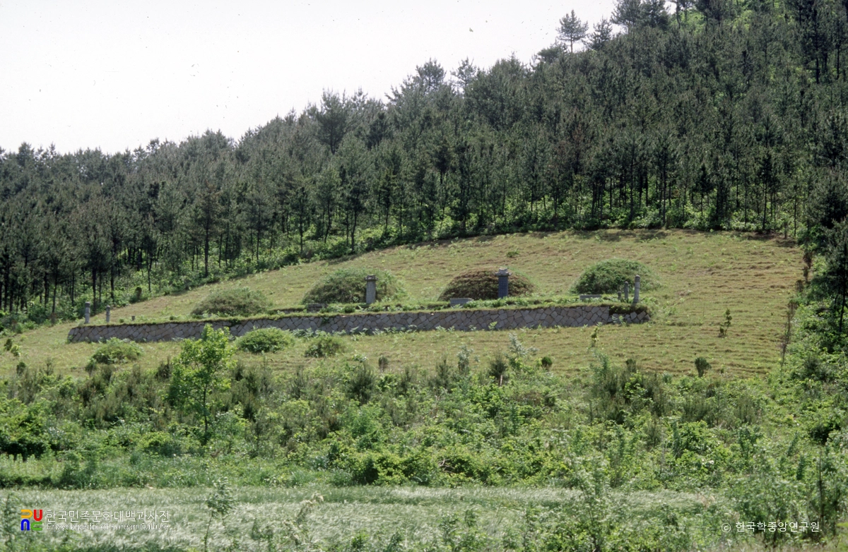 강진 염걸 장군 묘소