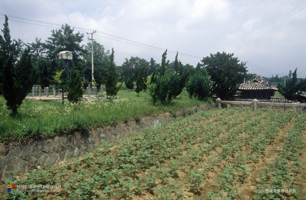 산청 목면시배 유지
