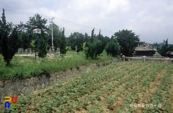 산청 목면시배 유지 전경