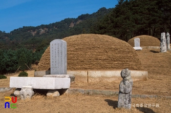 가평 이일상 묘 정측면