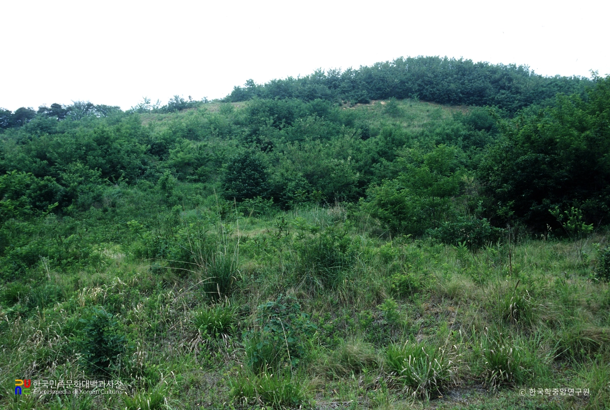 부여 능안골 고분군 전경