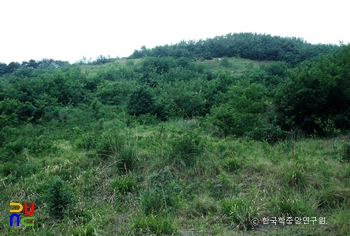 부여 능안골 고분군 전경