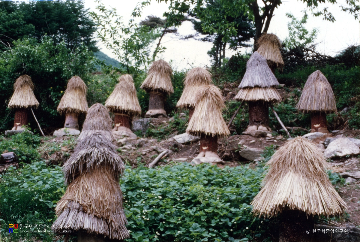 석청과 벌 / 지리산