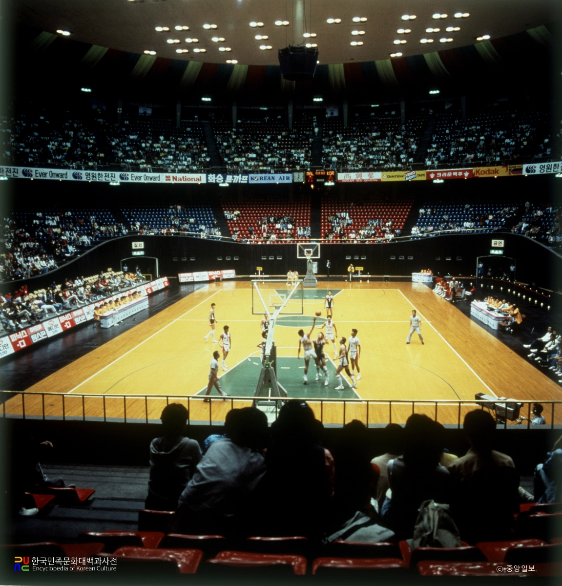 서울 아시아경기대회 / 농구