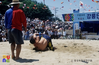 강릉단오제 / 피망 슬롯 apk