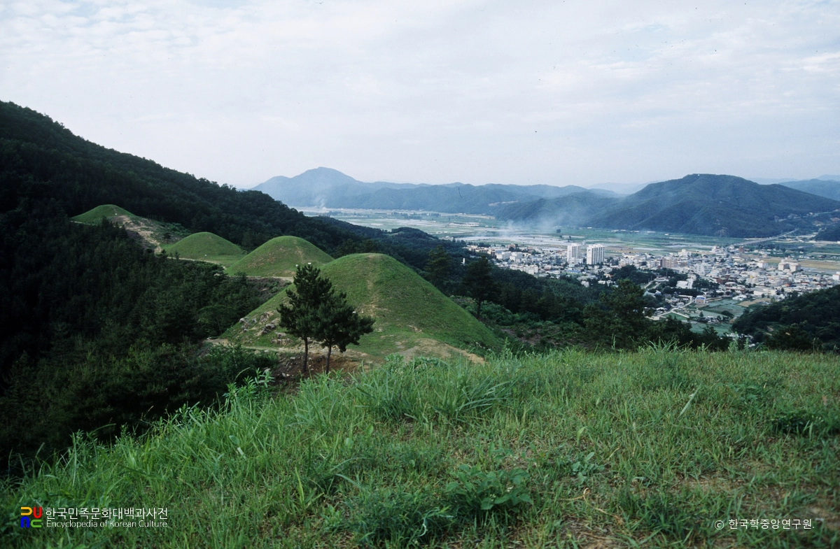 고령 지산동 고분군 전경