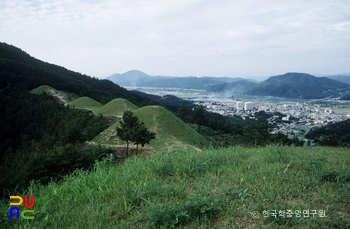 고령 지산동 고분군 전경