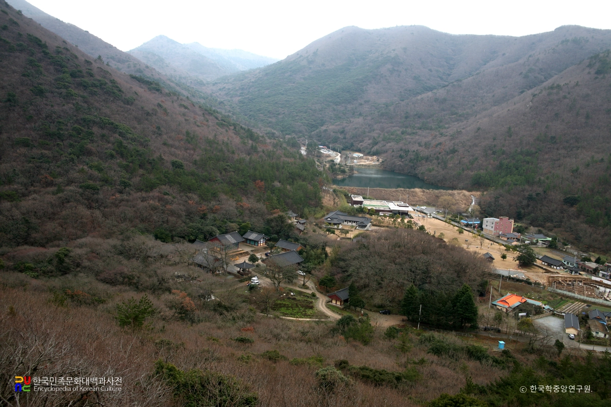진도 쌍계사 상록수림