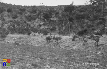 경주 남산 일원 중 사곡사지 전경