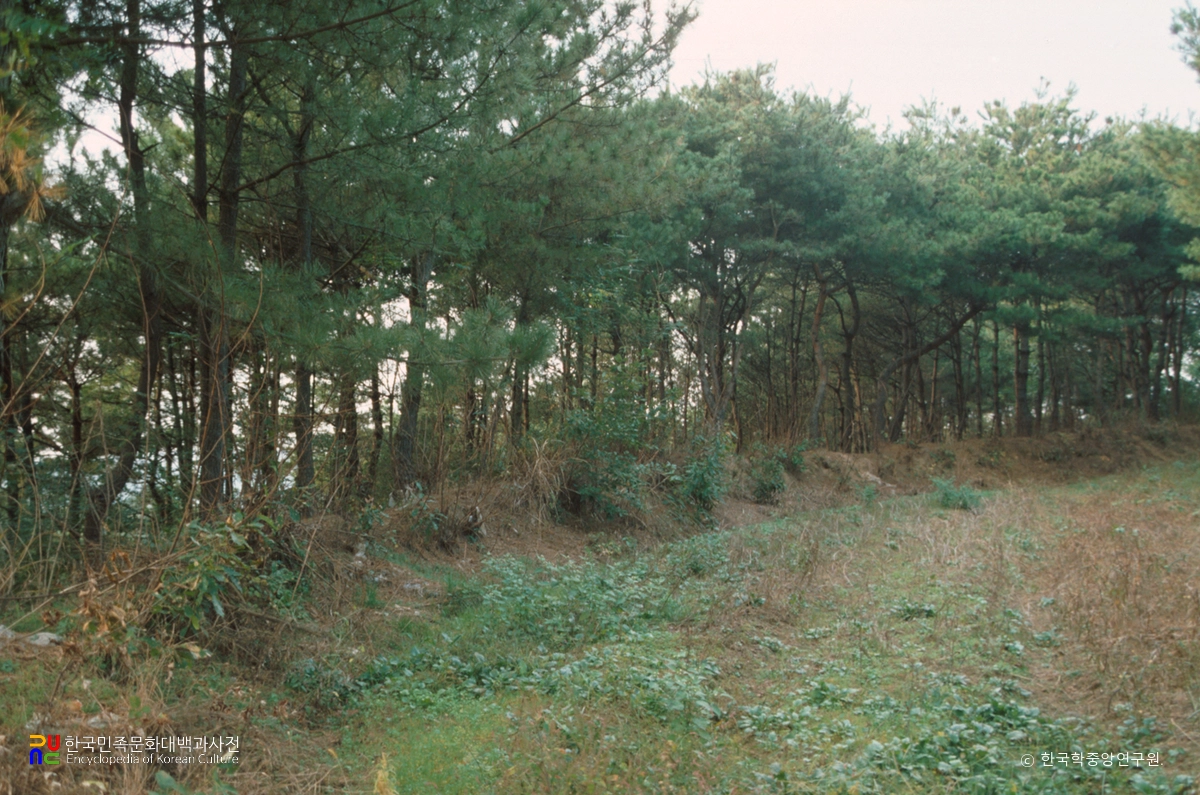 당진 성동리성지 전경