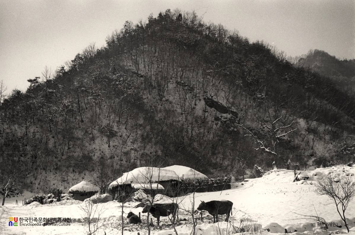 농촌의 겨울 풍경