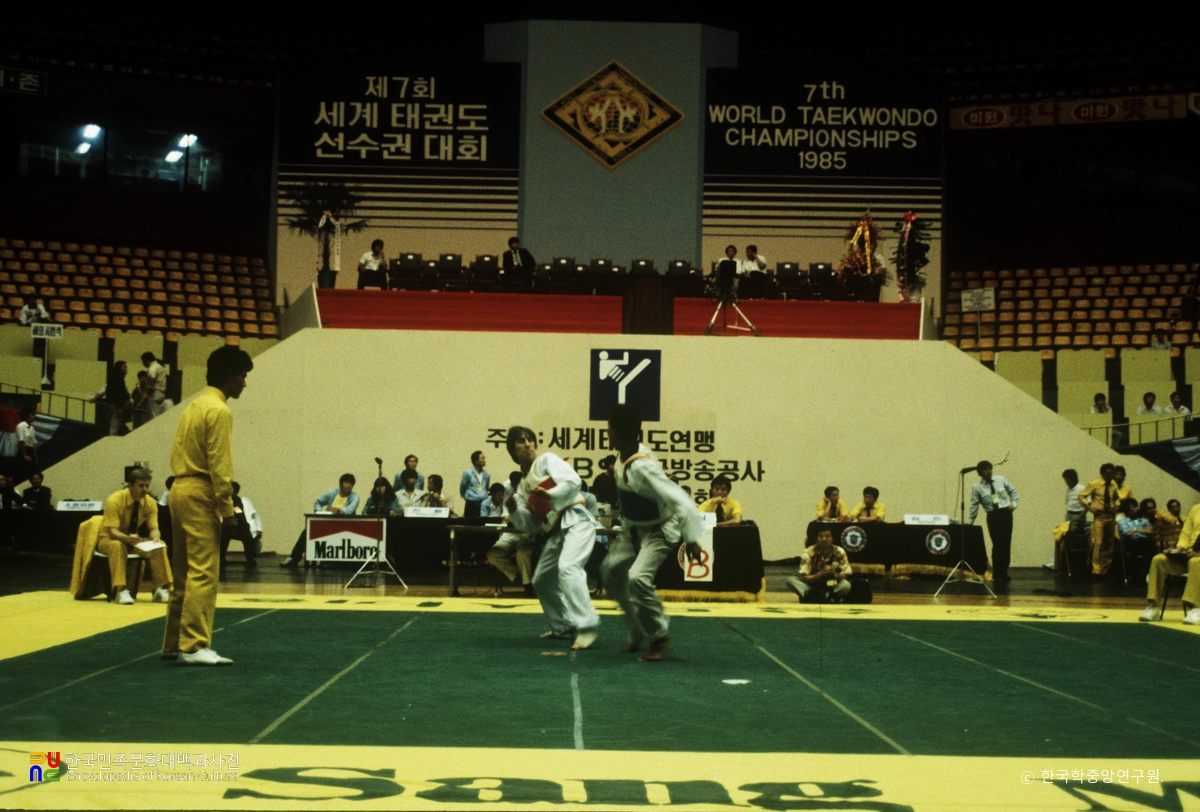 세계태권도선수권대회