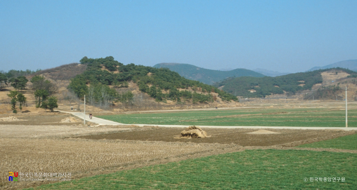청도 이서국 궁성지 전경