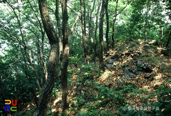 태령산성