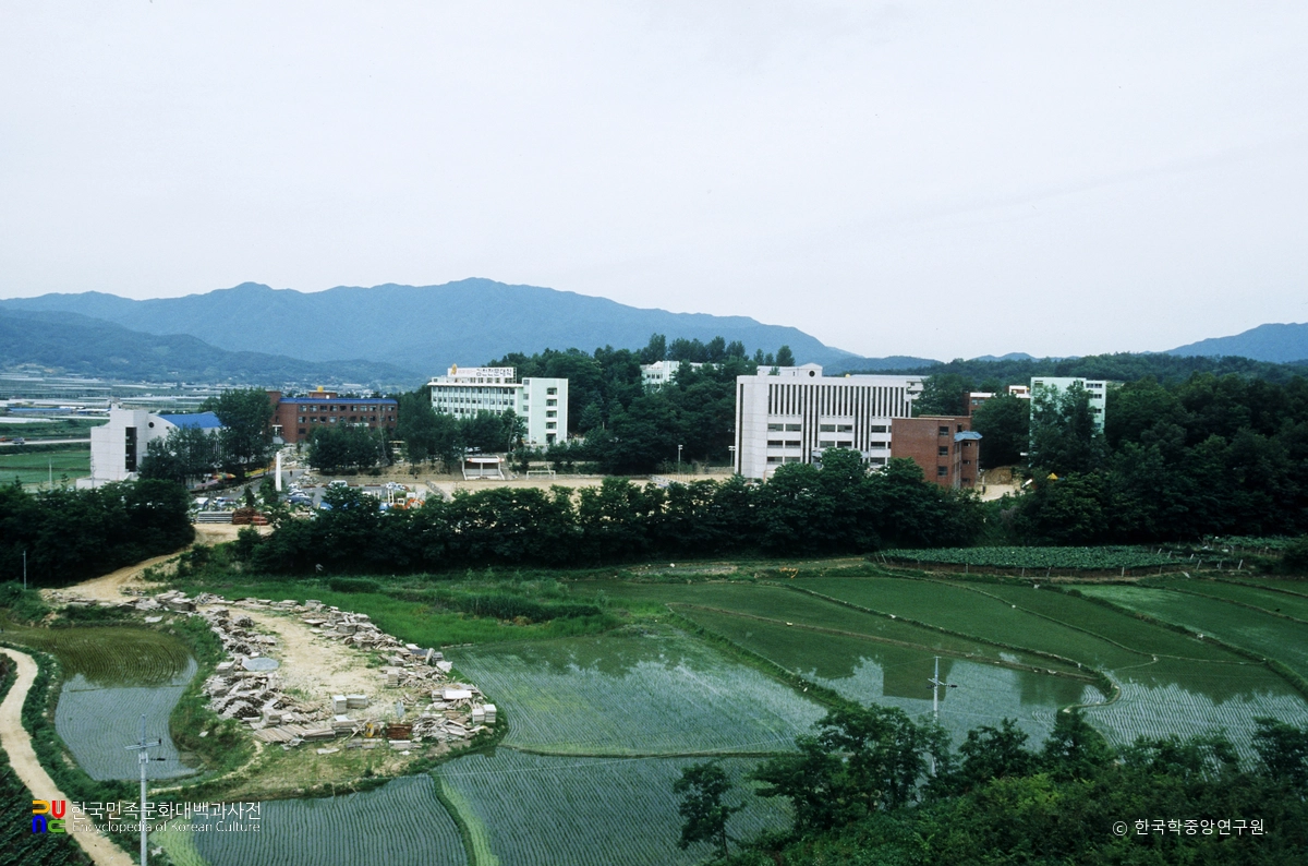 김천대학교