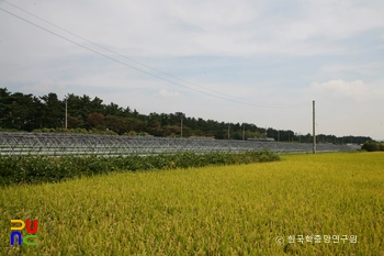 포항 북송리 북천수