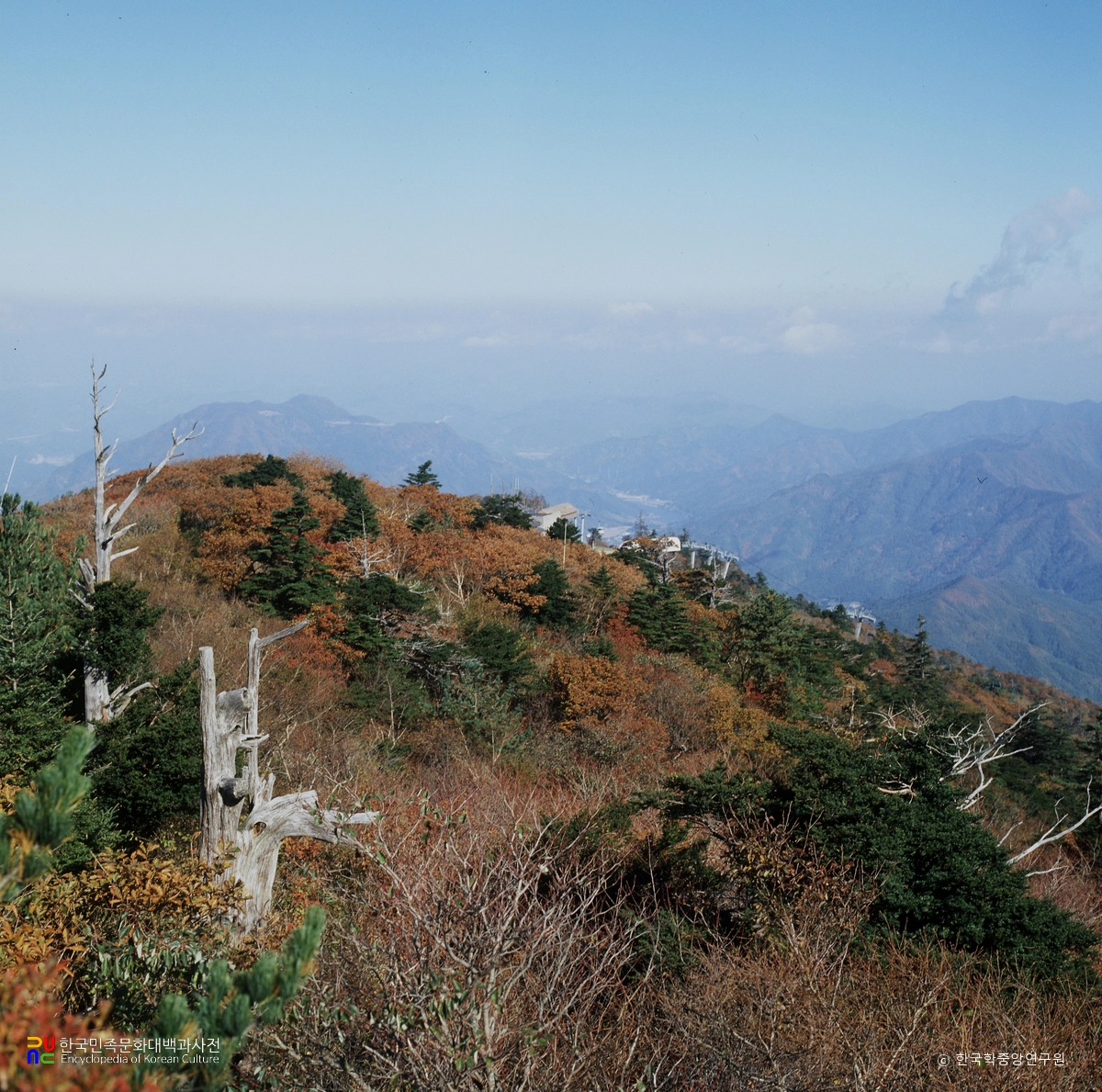 무주 구천동 주목군총