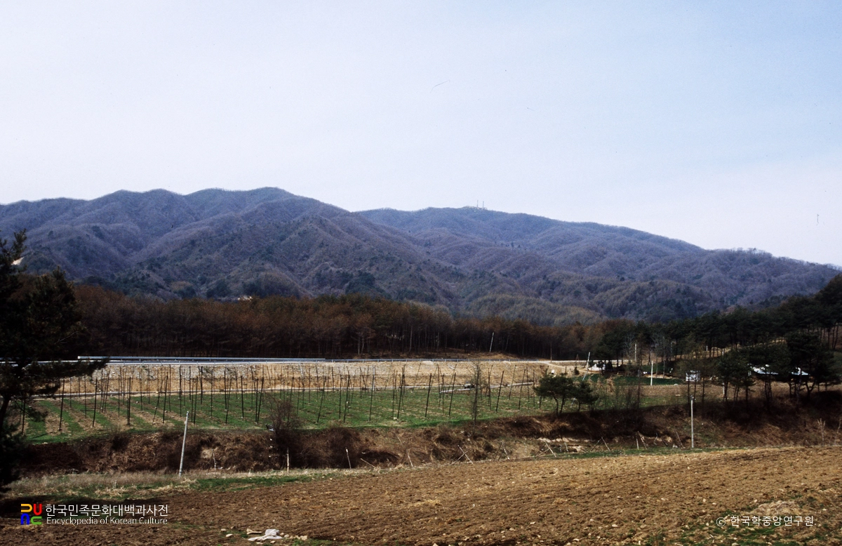 태기산