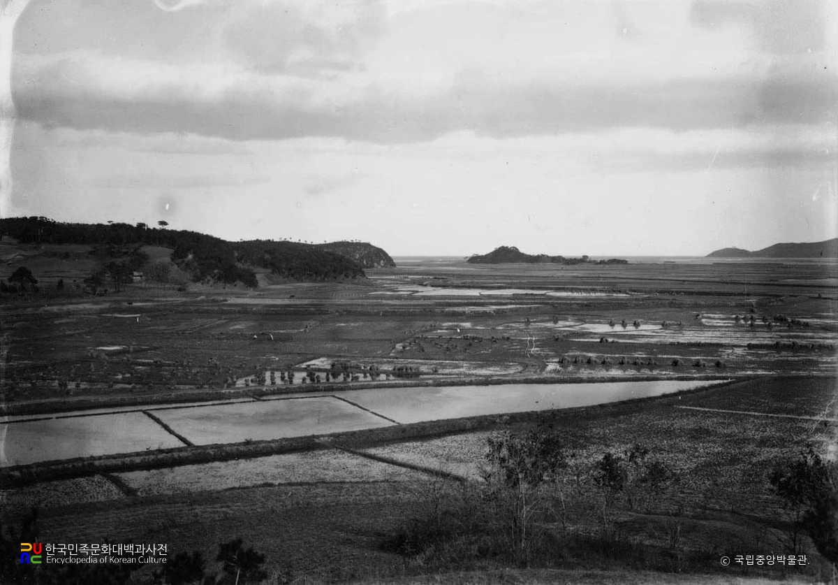 정평 남산에서 본 도흥리 고성  부근 마을
