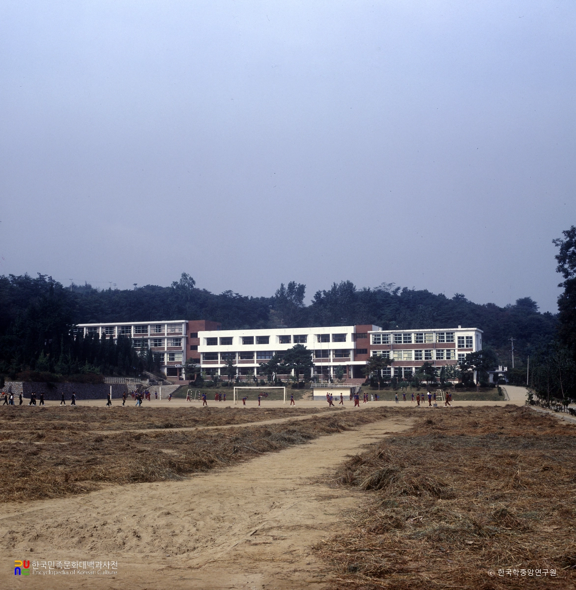 김포제일고등학교