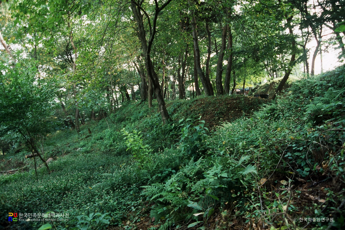 부여 부소산성 전경