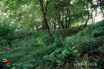 부여 부소산성 전경