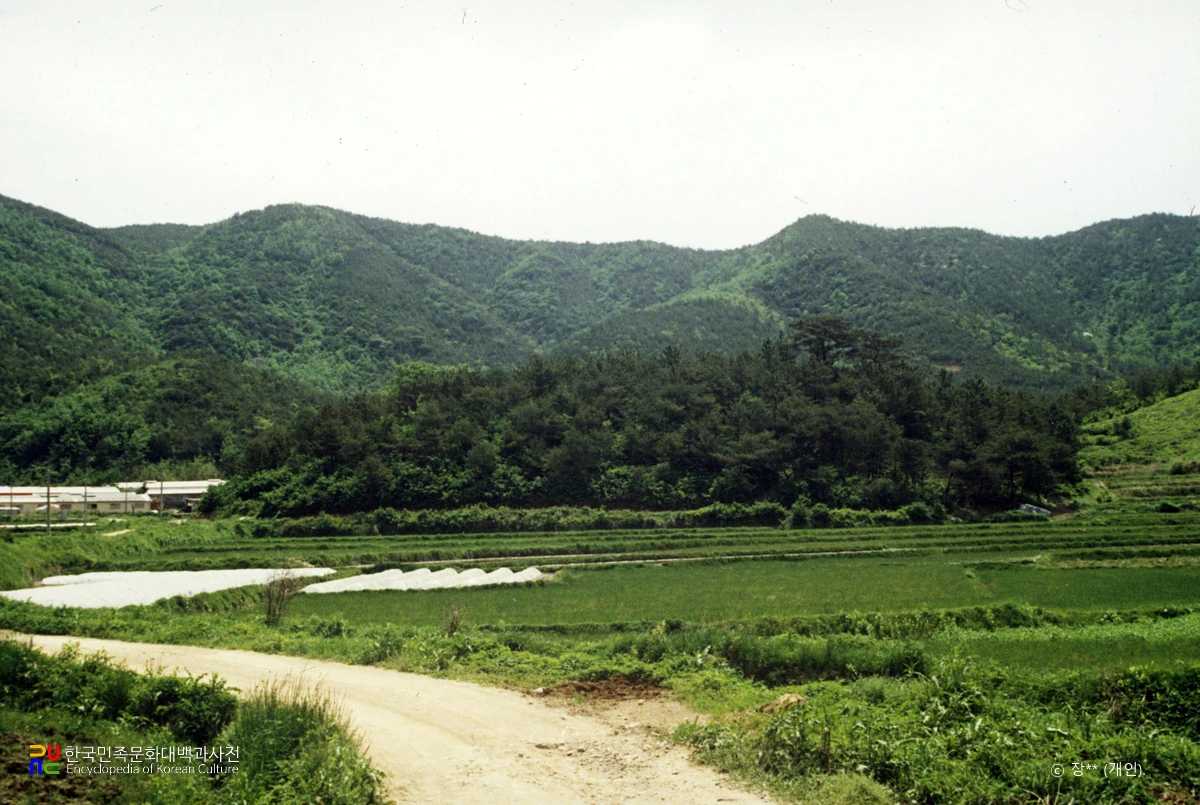 김해 원지리 고분군