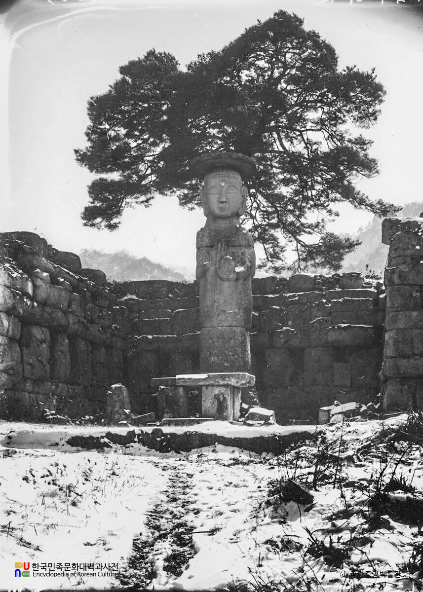 충주 미륵리 석불입상