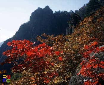 설악산 천연보호구역 마등령 단풍