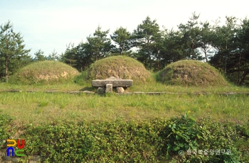 조경남 묘