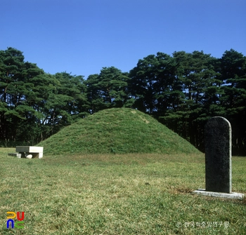 경주 신라 경애왕릉 정측면