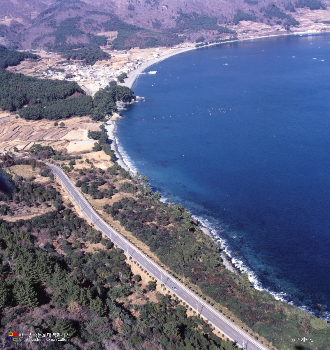 거제 학동리 동백나무 숲 및 팔색조 번식지