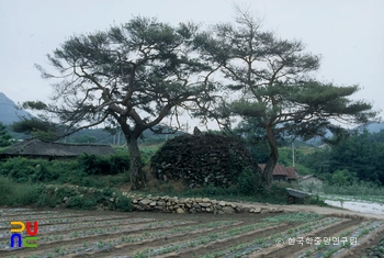 거창 거기리 성황단