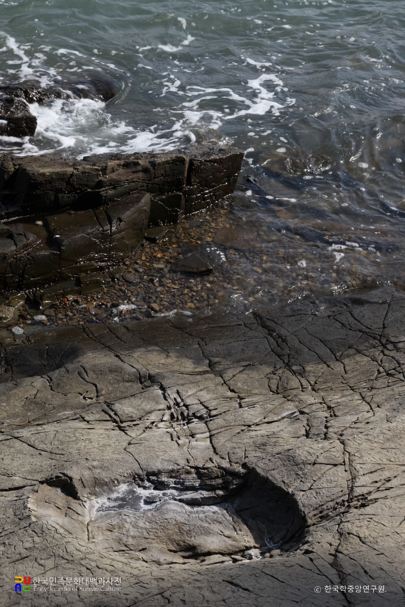 남해 가인리 화석산지