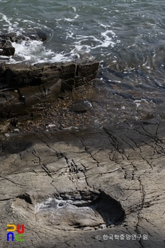 남해 가인리 화석산지