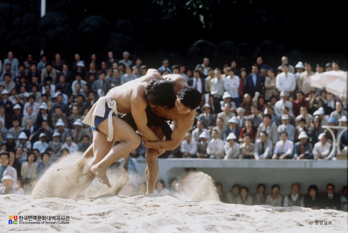 전국체육대회 / 씨름