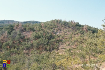 부여 석성산성 전경