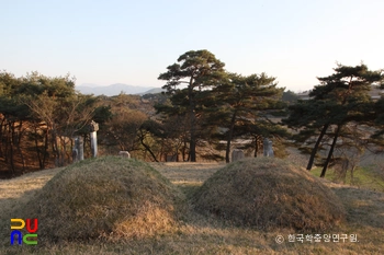 함양 평촌리 신고당 신도비 및 부부 묘표 중 부부 묘 후면