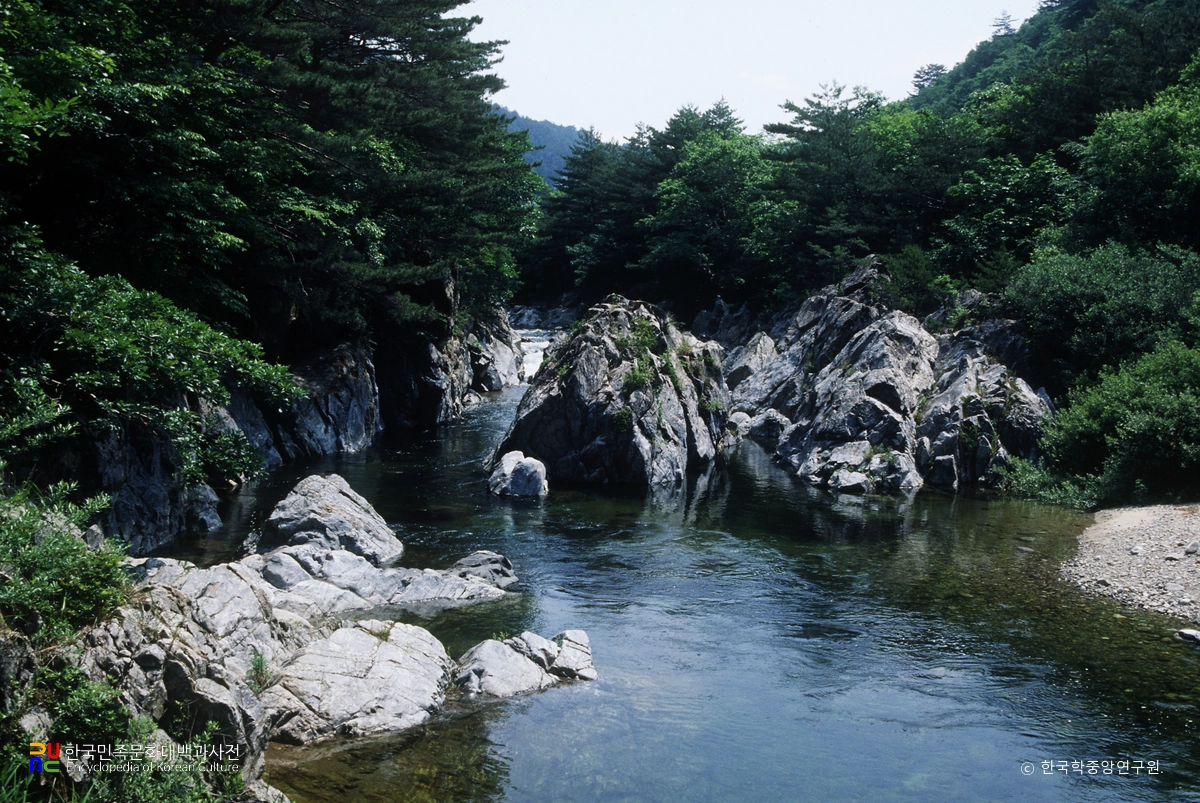 홍천 명개리 열목어 서식지