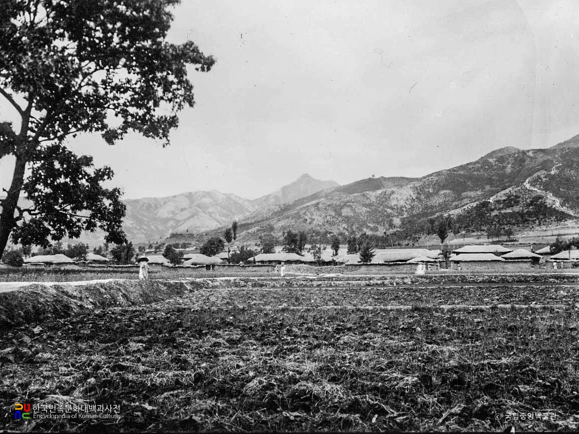 칠곡 약목 고분군 전경