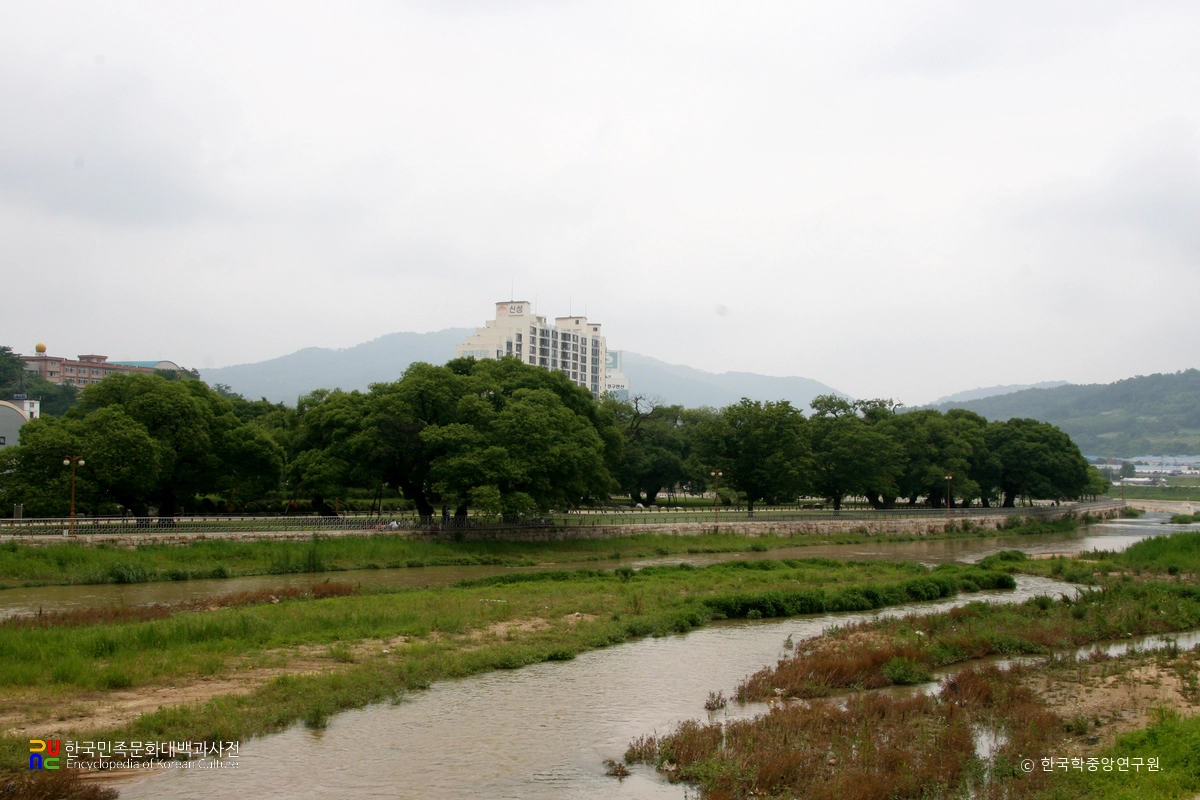 성주 경산리 성밖숲