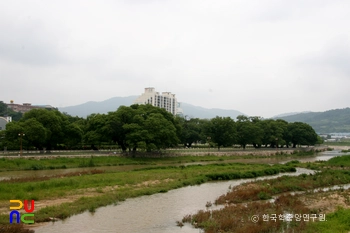 성주 경산리 성밖숲