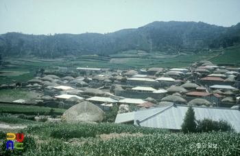 대신규 슬롯 전경